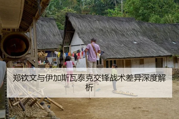 郑钦文与伊加斯瓦泰克交锋战术差异深度解析